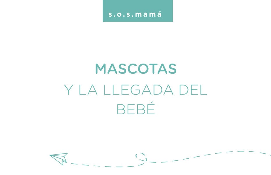 mascotas y la llegada del bebé